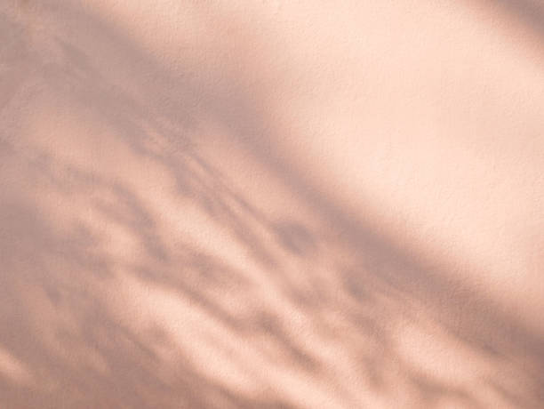 istock Leaves shadow and tree branch in warm autumn colors background. 1724337306