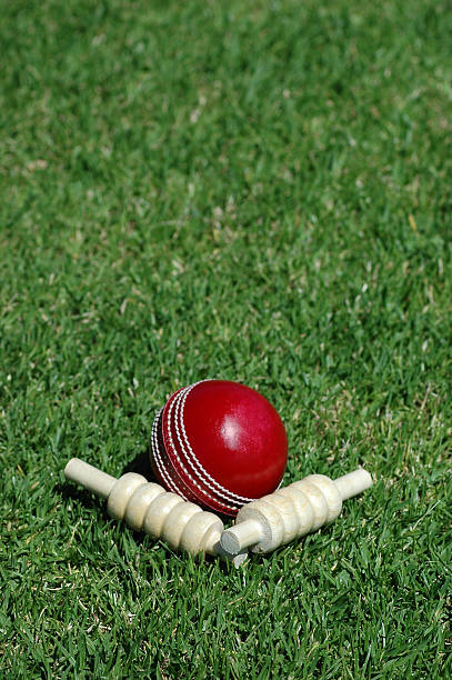 red bola de críquete e bails - oval cricket ground - fotografias e filmes do acervo