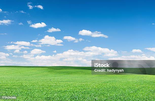 Photo libre de droit de Vue Panoramique Sur Le Paysage De La Prairie De Printemps Ciel Bleu banque d'images et plus d'images libres de droit de Agriculture