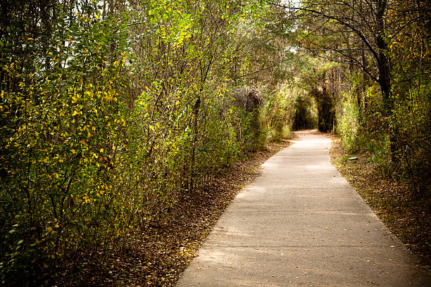 A narrow trail on a green mowed meadow, symbolizing direction, decisions, and peaceful outdoor scenery. Ideal for concepts of journey, nature, and personal growth.