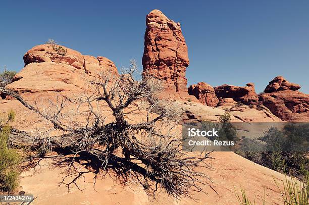 Paisagem De Verão No Parque Nacional De Arches - Fotografias de stock e mais imagens de Anoitecer - Anoitecer, Ao Ar Livre, Arbusto