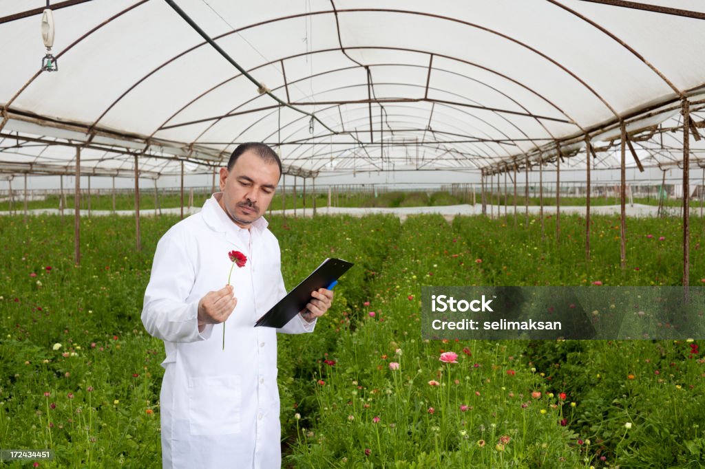 Botánico de control y registro de corte de efecto invernadero de flores - Foto de stock de Abundancia libre de derechos