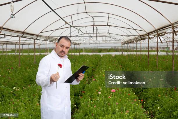 Photo libre de droit de Botaniste Formalités Denregistrement Et De Fleurs Coupées Dans Une Serre banque d'images et plus d'images libres de droit de Activité agricole