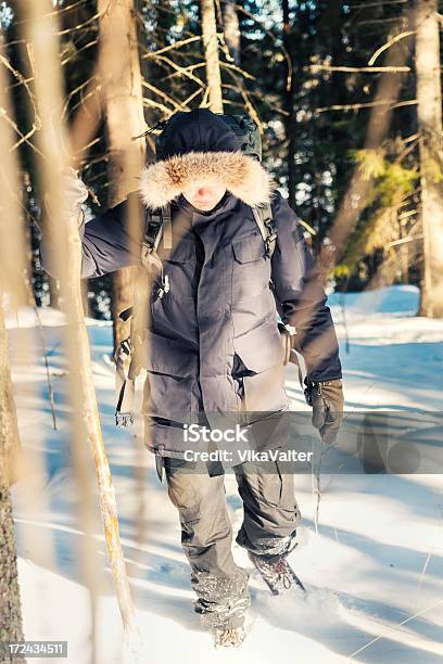 Invierno De Excursionismo Foto de stock y más banco de imágenes de Actividad - Actividad, Actividades recreativas, Adulto