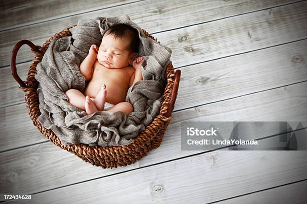 Красивые Новорожденный Ребенок В Корзину — стоковые фотографии и другие картинки 0-1 месяц - 0-1 месяц, В помещении, Виньетка