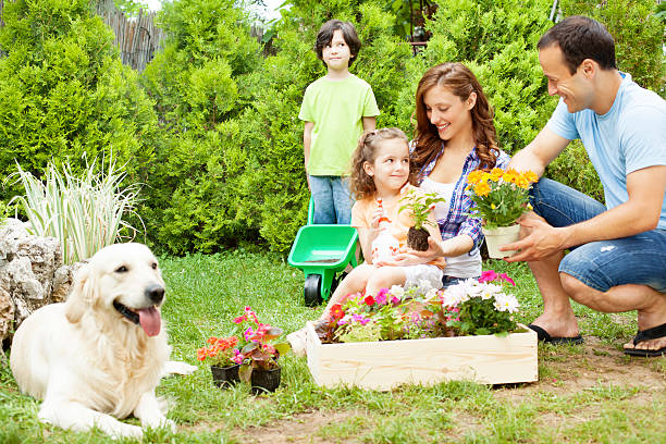 istock Family Gardening Together. 172434916