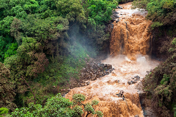 istock Ethiopian river and forest at Tis Abay, Ethiopia 172434921