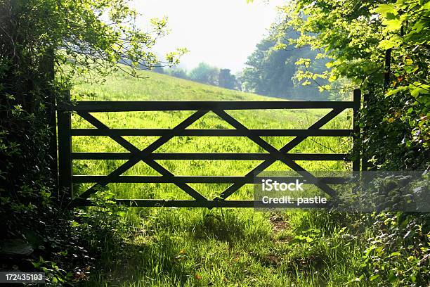 Pasture And Gate Stock Photo - Download Image Now - Agricultural Field, Back Lit, Building Entrance