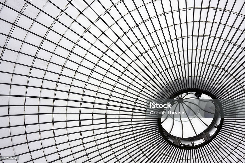 W Kibble Palace Dome - Zbiór zdjęć royalty-free (Abstrakcja)