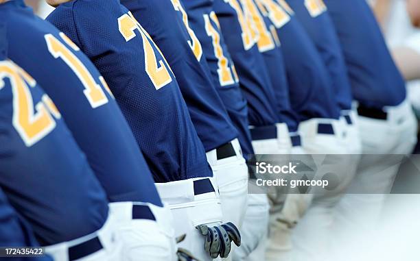 Azul Compañeros De Equipo De Béisbol Foto de stock y más banco de imágenes de Banquillo deportivo - Banquillo deportivo, Universidad, Béisbol