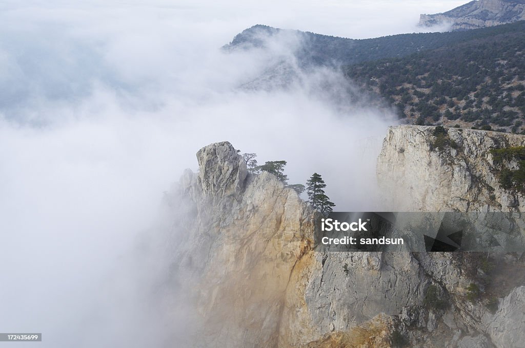 Foggy Monti di Crimea - Foto stock royalty-free di Abete