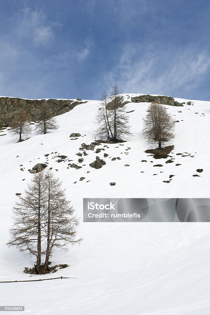 Montanhas cobertas de neve top - Foto de stock de Azul royalty-free