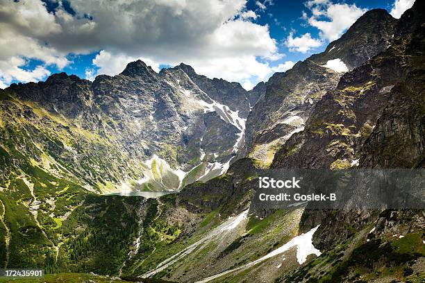 Tatragebirge Stockfoto und mehr Bilder von Anhöhe - Anhöhe, Baum, Berg