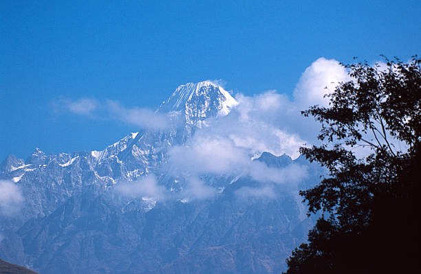 la montagne et des arbres - ganesh himal photos et images de collection