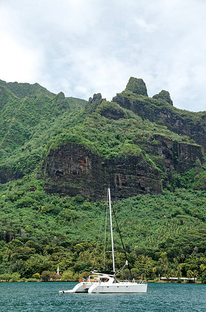 istock Cooks Bay on the Island of Moorea 172436016