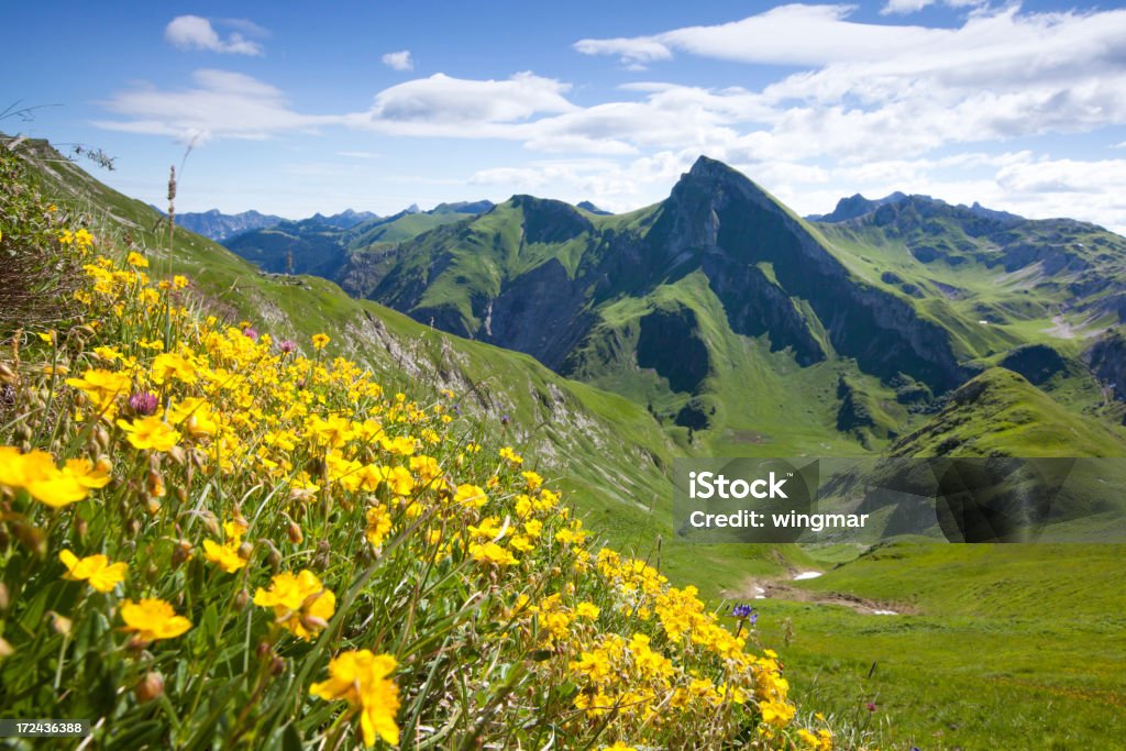 Vue sur le mont rote spitze, tannheimer berge, Tyrol, Autriche - Photo de Alpes de l'Allgaü libre de droits