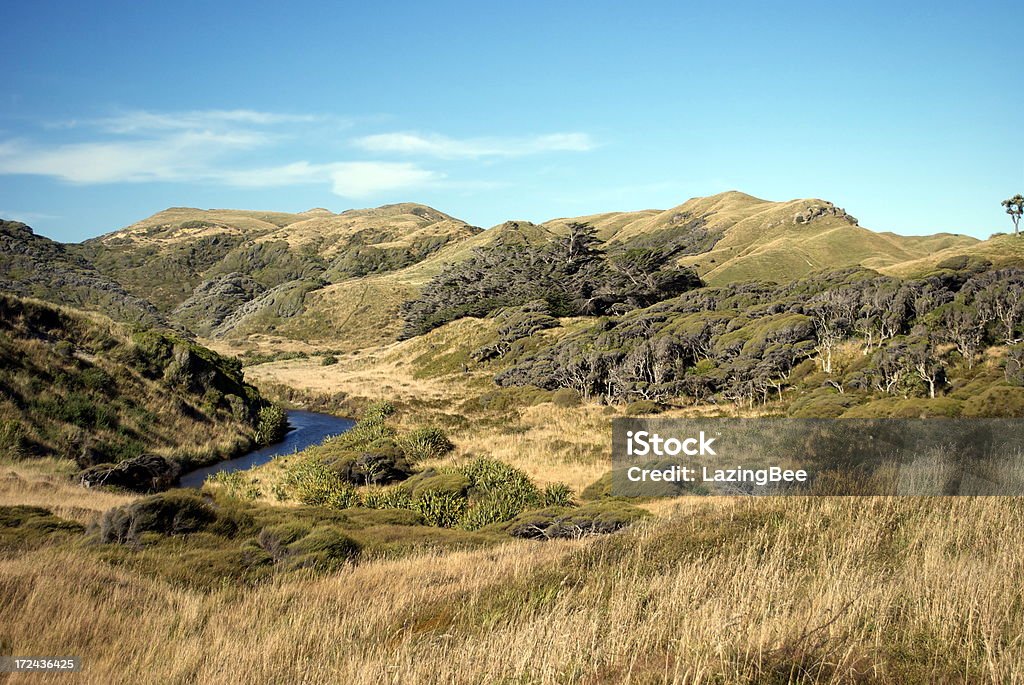 Riverscape, Parque Nacional de Kahurangi, Golden Bay, Nova Zelândia - Royalty-free Amarelo Foto de stock