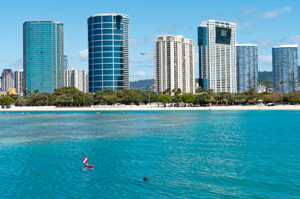 homem mergulho livre na beira da água no recife em honolulu - building exterior hawaii islands palm tree beach - fotografias e filmes do acervo