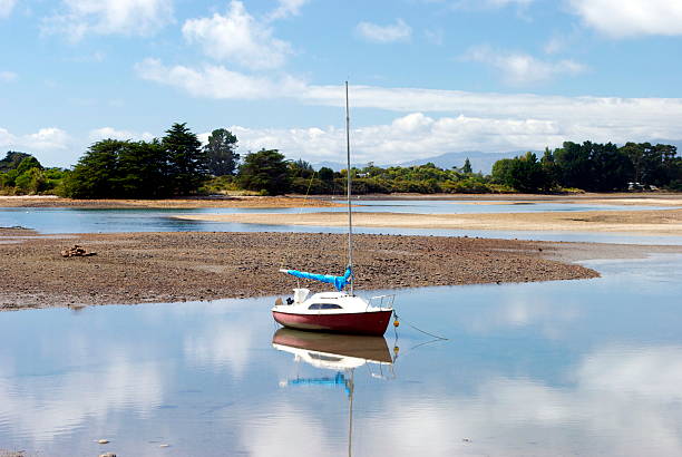 배죠 및 숙고를 바다 경치를, parapara 입구, nz - powder blue viewpoint south island new zealand new zealand 뉴스 사진 이미지