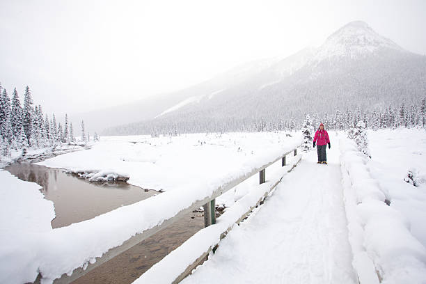 istock Woman Snowshoeing in the Mountains 172437576