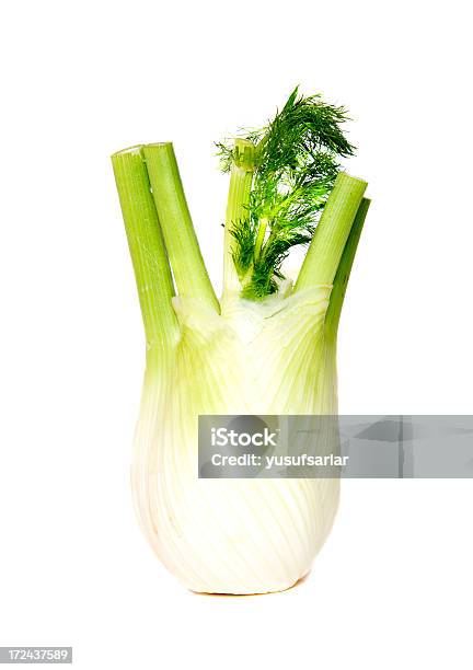 Fenchel Stockfoto und mehr Bilder von Blatt - Pflanzenbestandteile - Blatt - Pflanzenbestandteile, Fenchel, Fotografie