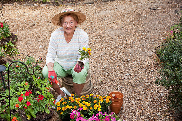 istock Elderly woman gardening 172437656