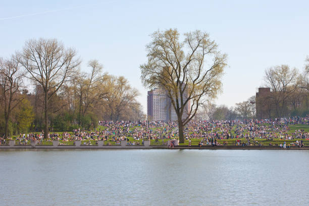 istock Cologne, Aachener Weiher in summer time 172437684