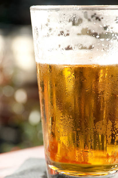 istock Fresh Pint of Beer 172437759