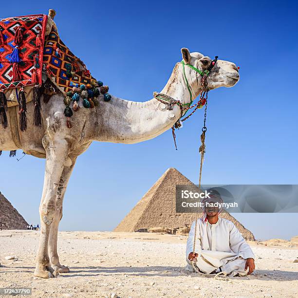 ベドウィンとピラミッド - エジプトのストックフォトや画像を多数ご用意 - エジプト, 1人, 2匹