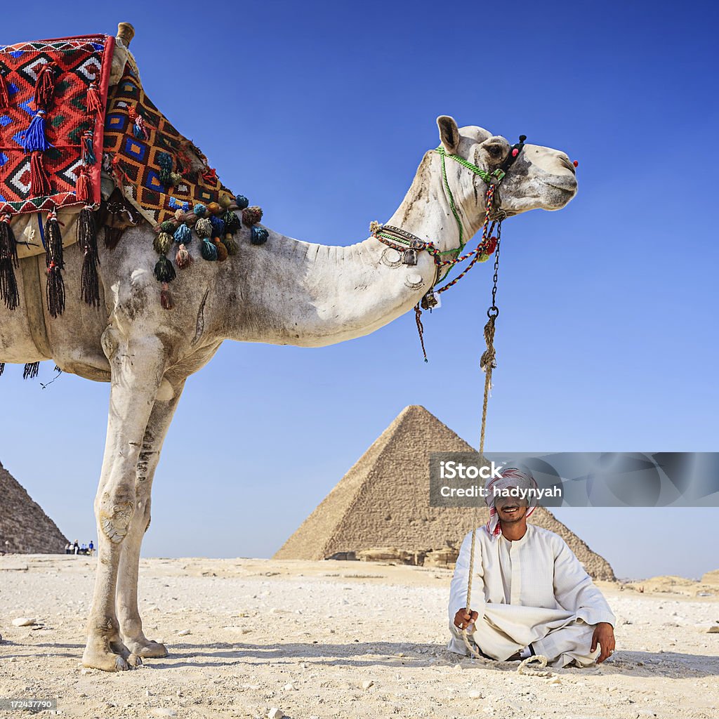 Beduin i piramidy - Zbiór zdjęć royalty-free (Egipt)