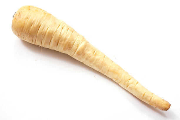Single parsnip stock photo