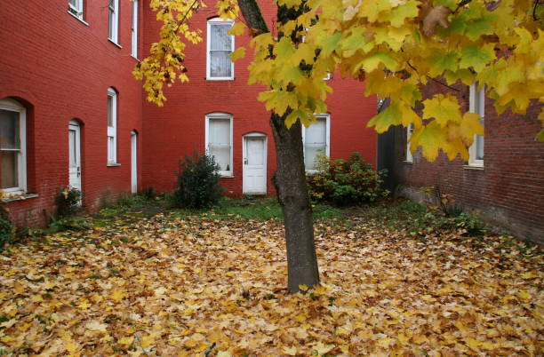 istock Red Brick Building with Autumn Colors 172437867