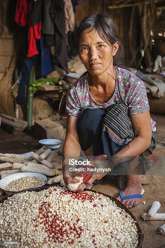 Mulheres da tribo de colina colheita de milho no norte do Laos - Royalty-free Adulto Foto de stock