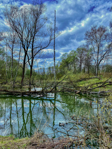 istock Spring landscape with a small river, trees and blue sky with clouds 1724380602