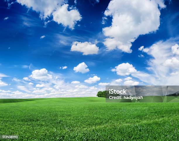 Praça Paisagem De Primavera 104mpix Xxxxlprado Céu Azul - Fotografias de stock e mais imagens de Agricultura