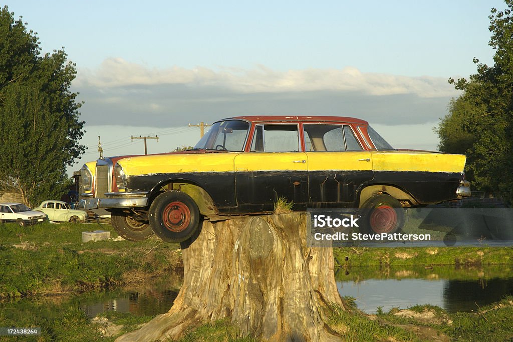Velho automóvel em um tronco de árvore - Foto de stock de Esquisito royalty-free