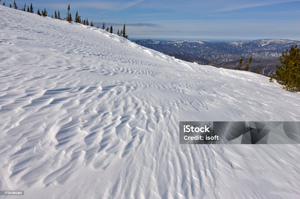 Winterpark. Sheregesh - Photo de Arbre libre de droits