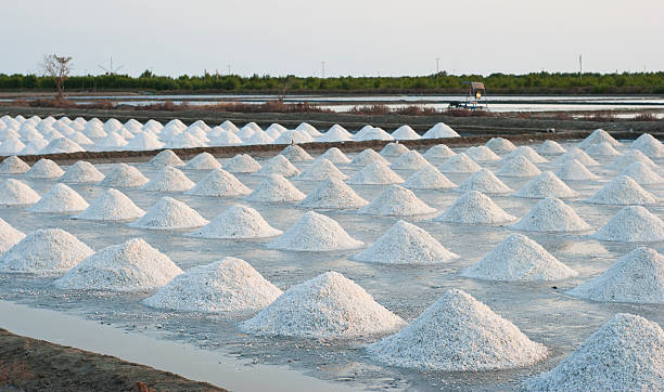 istock Sea salt farming 172438343