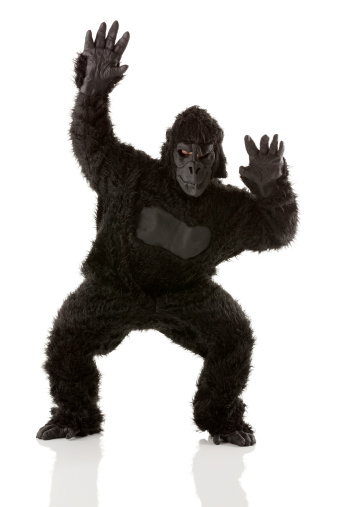Man standing in gorilla costumehttp://www.twodozendesign.info/i/1.png