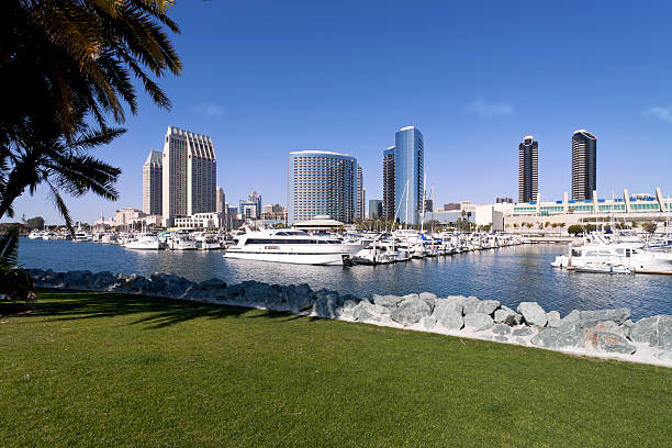 istock Marina in San Diego, USA 172438683
