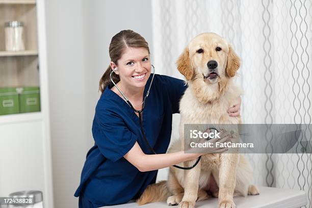 Golden Retriever Na Vet - zdjęcia stockowe i więcej obrazów 20-29 lat - 20-29 lat, 30-39 lat, Artykuł dla zwierząt