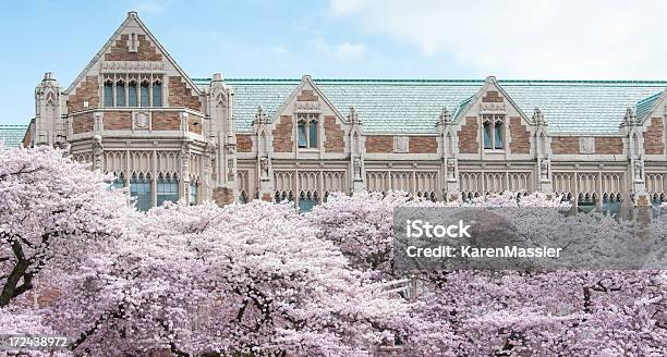 Foto de Cherry Blossoms e mais fotos de stock de Estado de Washington - Estado de Washington, Universidade do Estado de Washington, Seattle