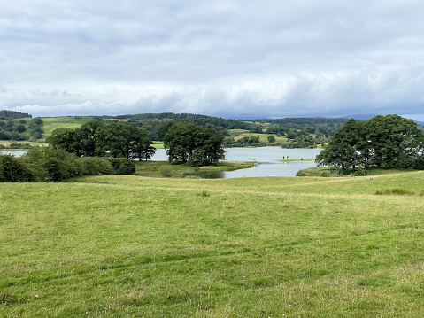 A view of Esthwaite Water in the Lake District on a sunny morning