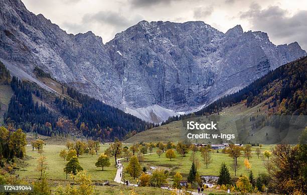 Maple Soil Karwendel Mountains Stock Photo - Download Image Now - Maple Tree, Mountain Ridge, Austria