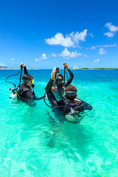 istock Diving training in a tropical turquoise island 172439194