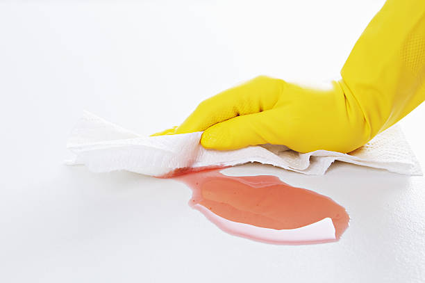 Cleaning up Spill a person wearing gloves cleaning up a spill with a paper towel.  paper towel photos stock pictures, royalty-free photos & images