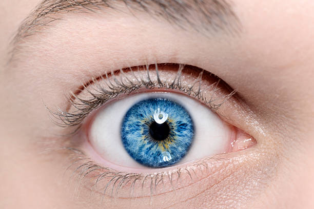 интенсивный синий глаз - reflection women human eye macro стоковые фото и изображения