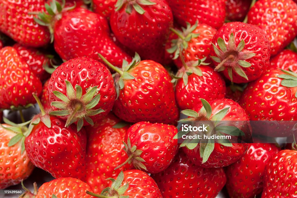 Des fraises de prime fraîcheur - Photo de Agriculture libre de droits