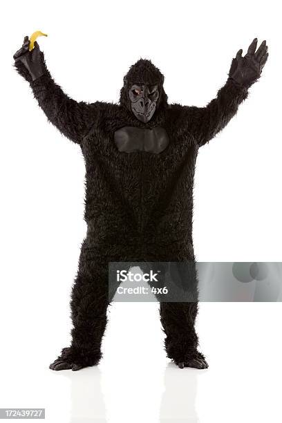 Foto de Imagem De Um Gorila Com Banana e mais fotos de stock de Gorila - Gorila, Homens, Cor Preta