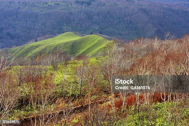 Photo libre de droit de Magnifique Paysage Dans Les Montagnes banque d'images et plus d'images libres de droit de Arbre - Arbre, Bouleau, Colline